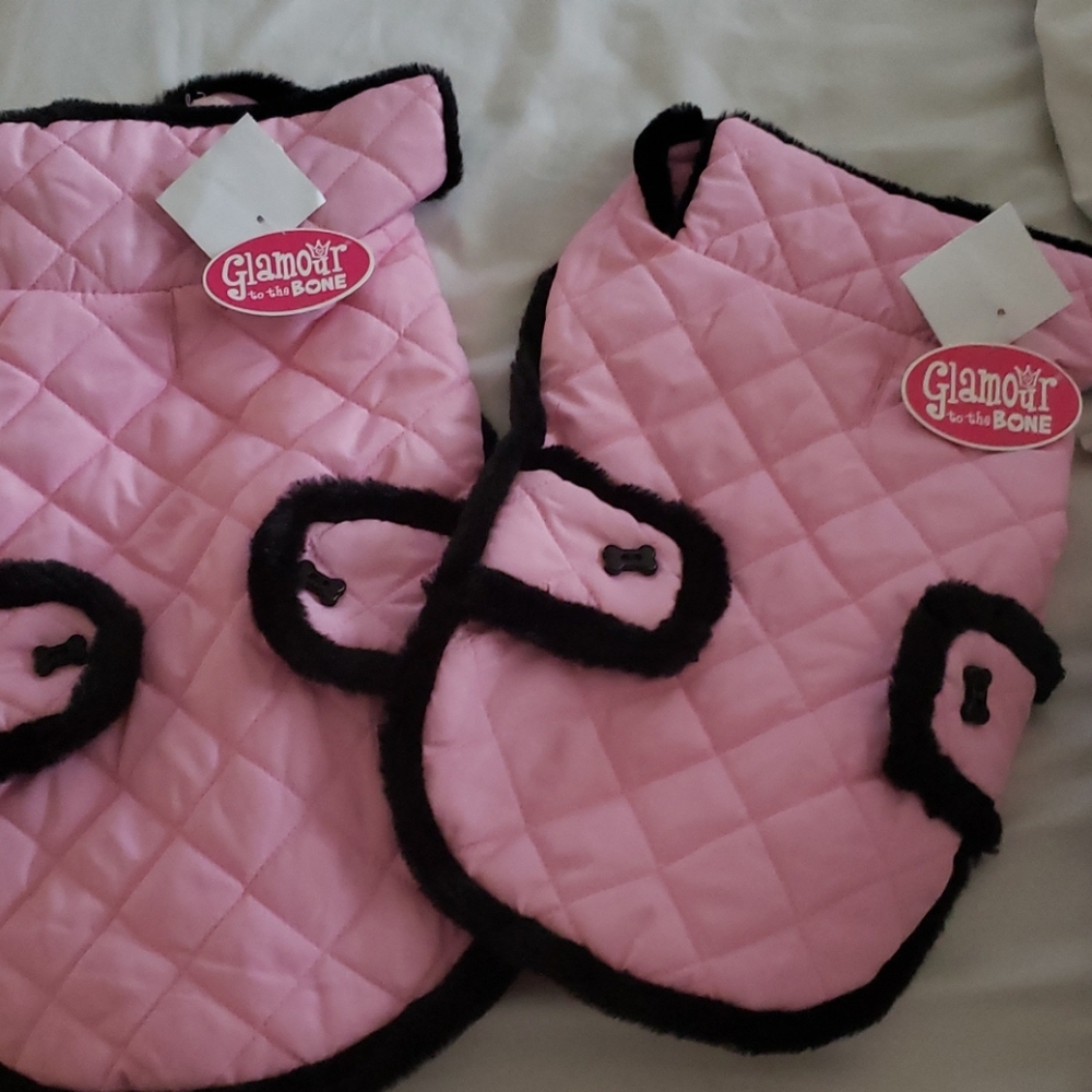 Glamour to the Bone Puppy Wear